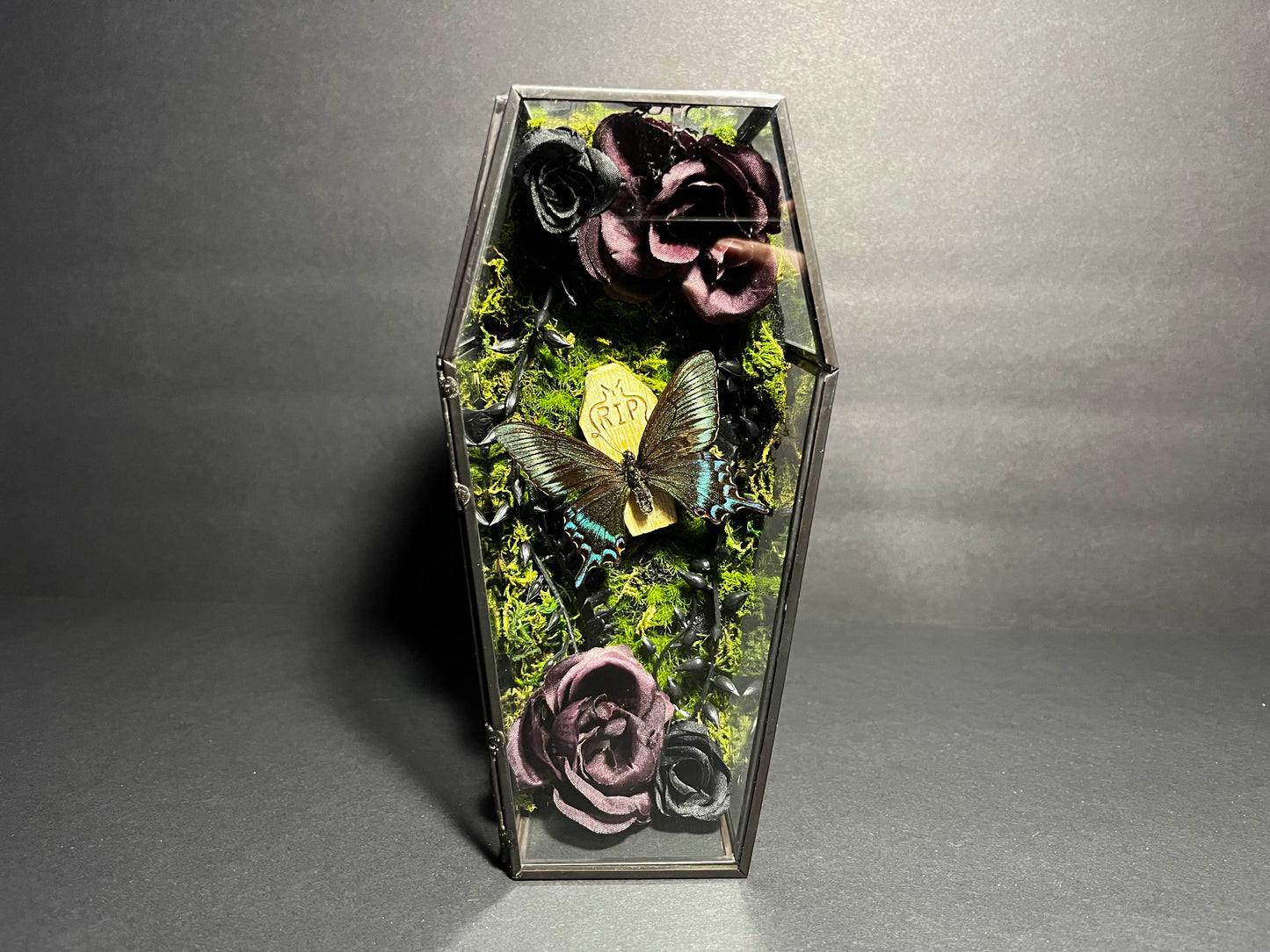 Alpine Black Swallowtail Coffin Box