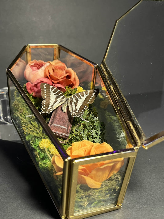 Black/White Swallowtail Coffin Box