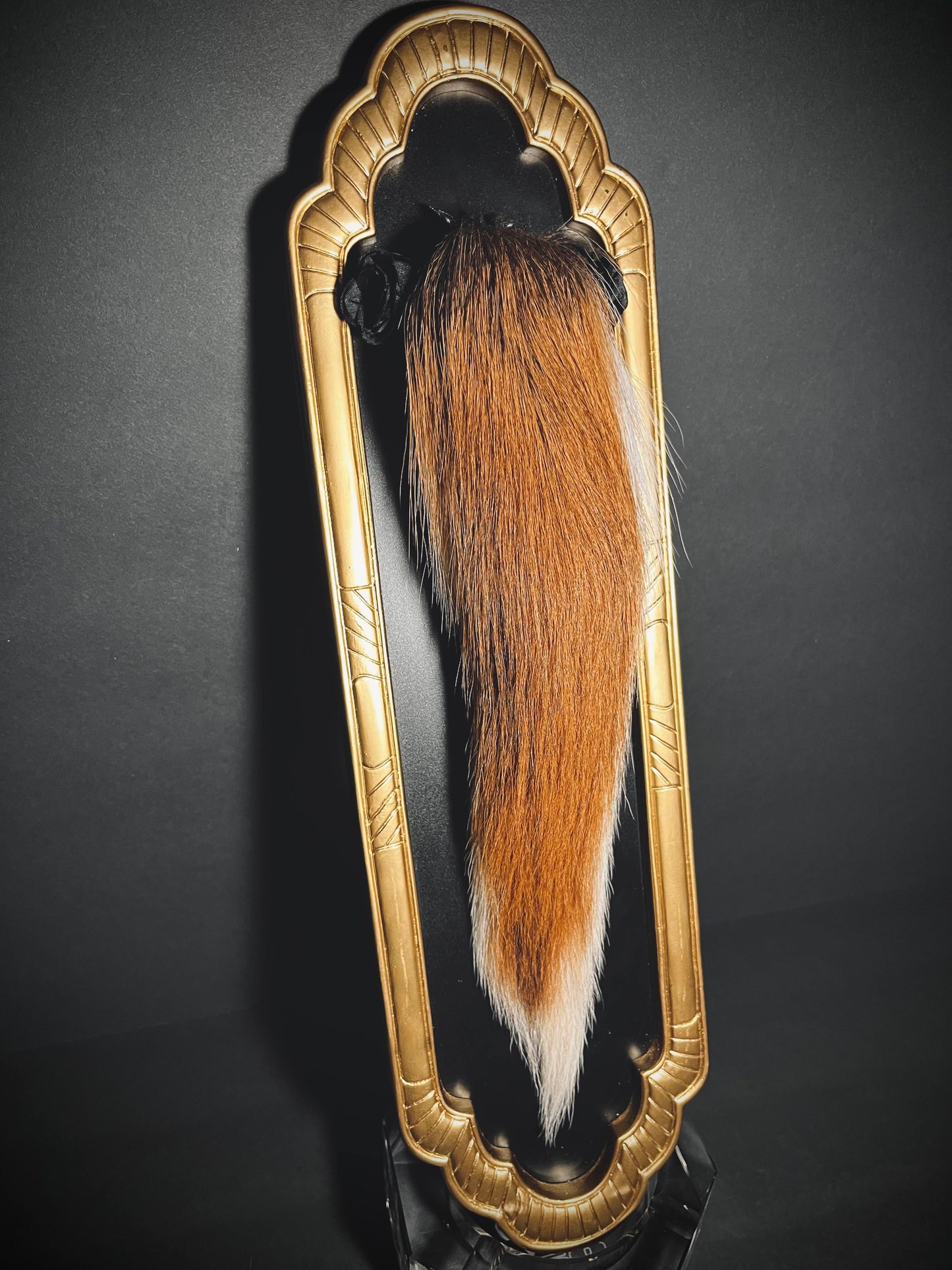 Framed Deer Tail