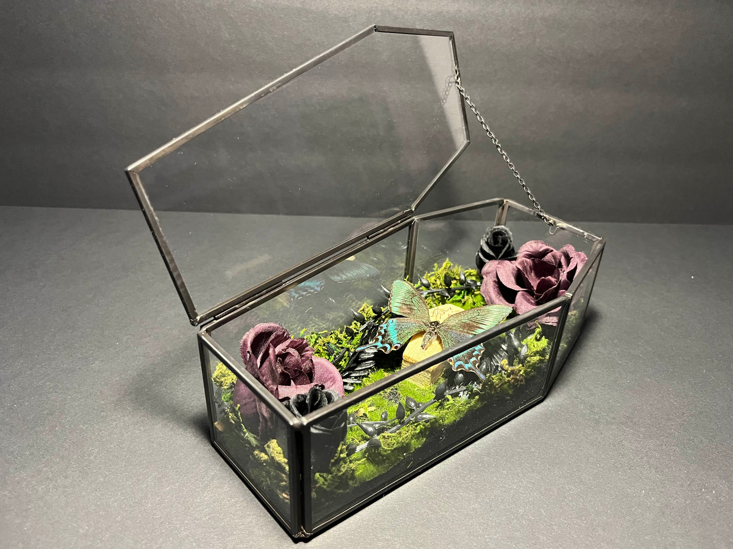 Alpine Black Swallowtail Coffin Box