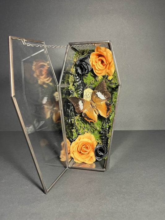 Polyura Athamas Butterfly Coffin Box