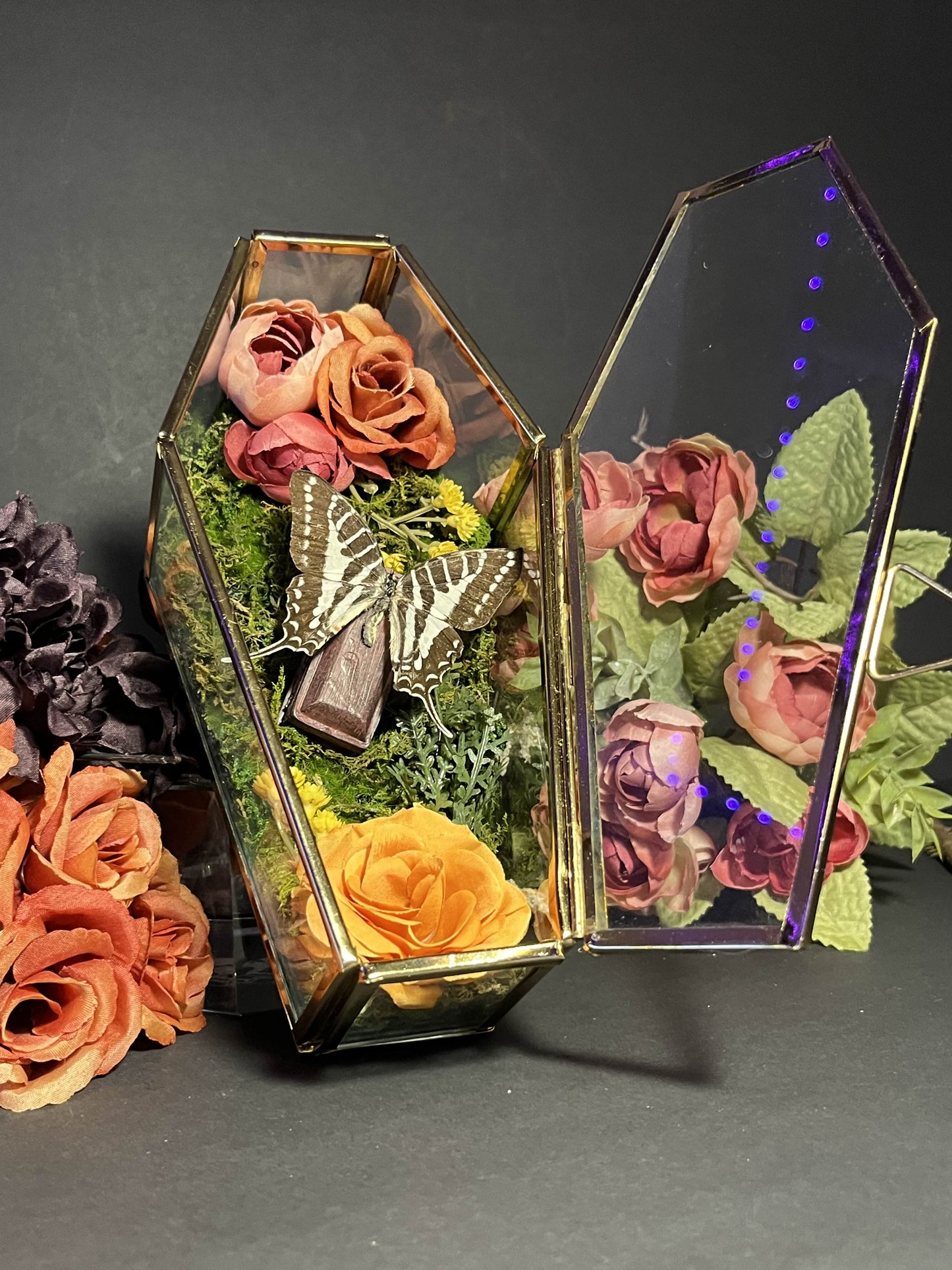 Black/White Swallowtail Coffin Box