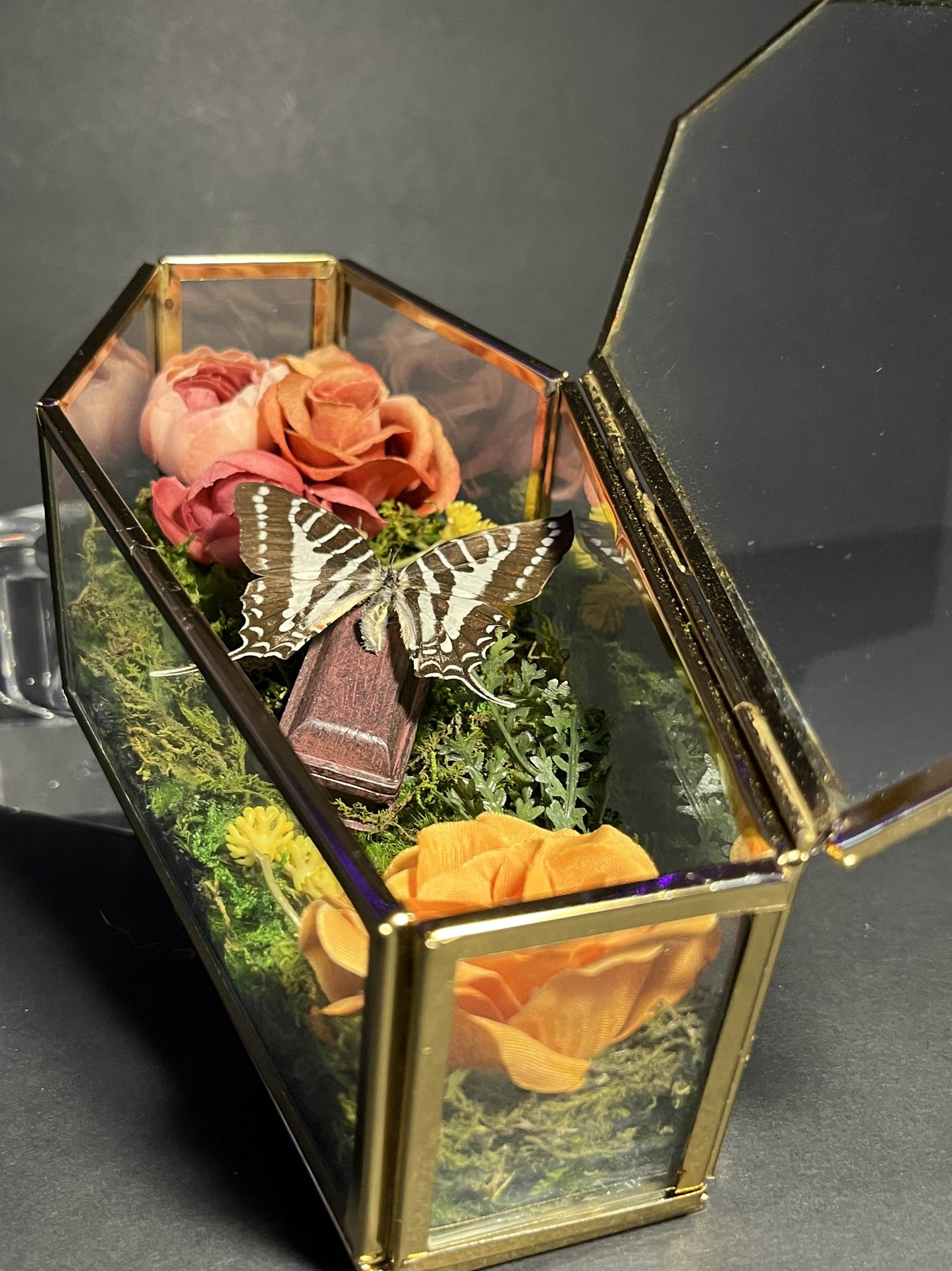 Black/White Swallowtail Coffin Box