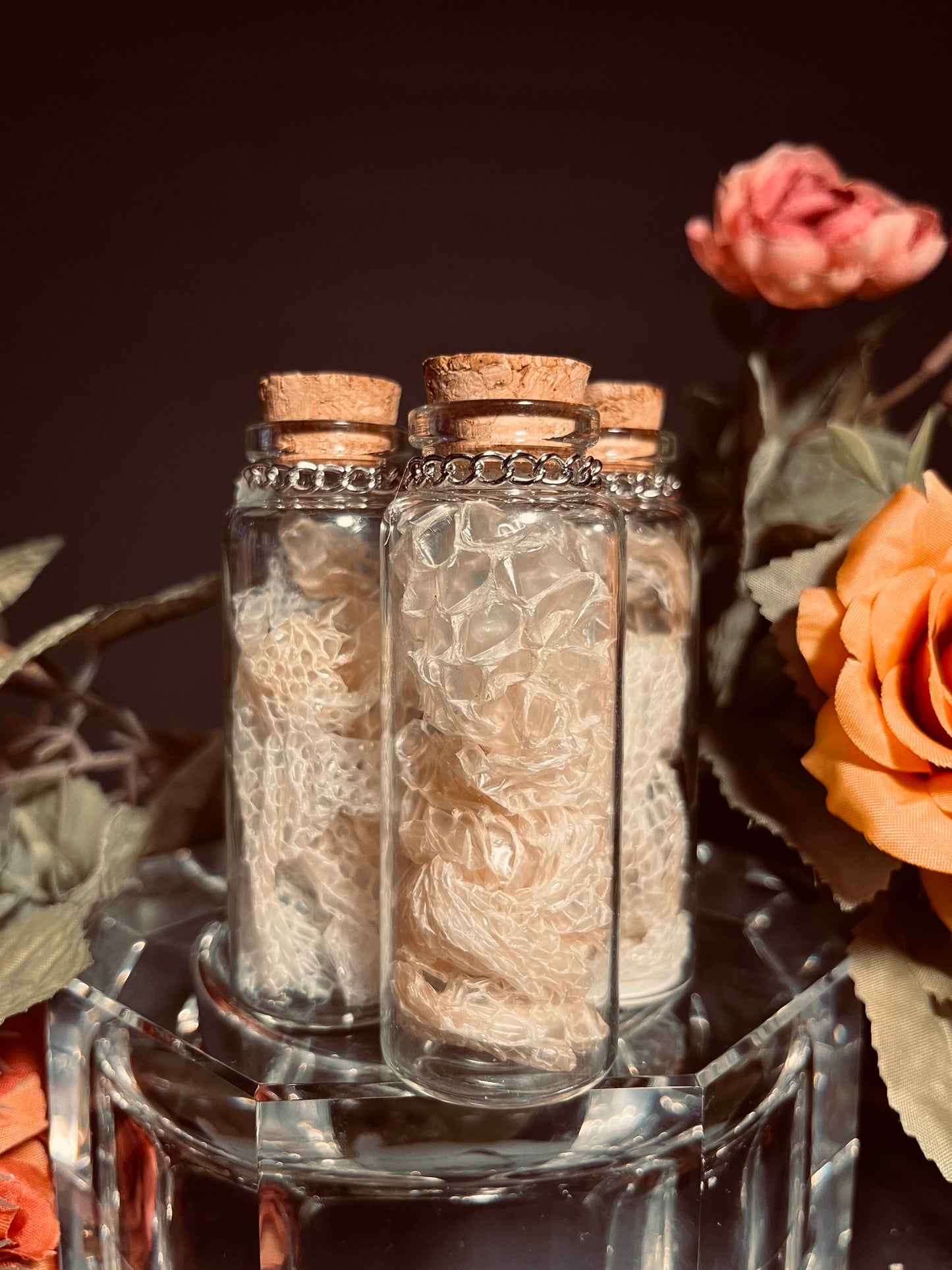Snake Skin Vial -  Curio, Witchcraft, Spells