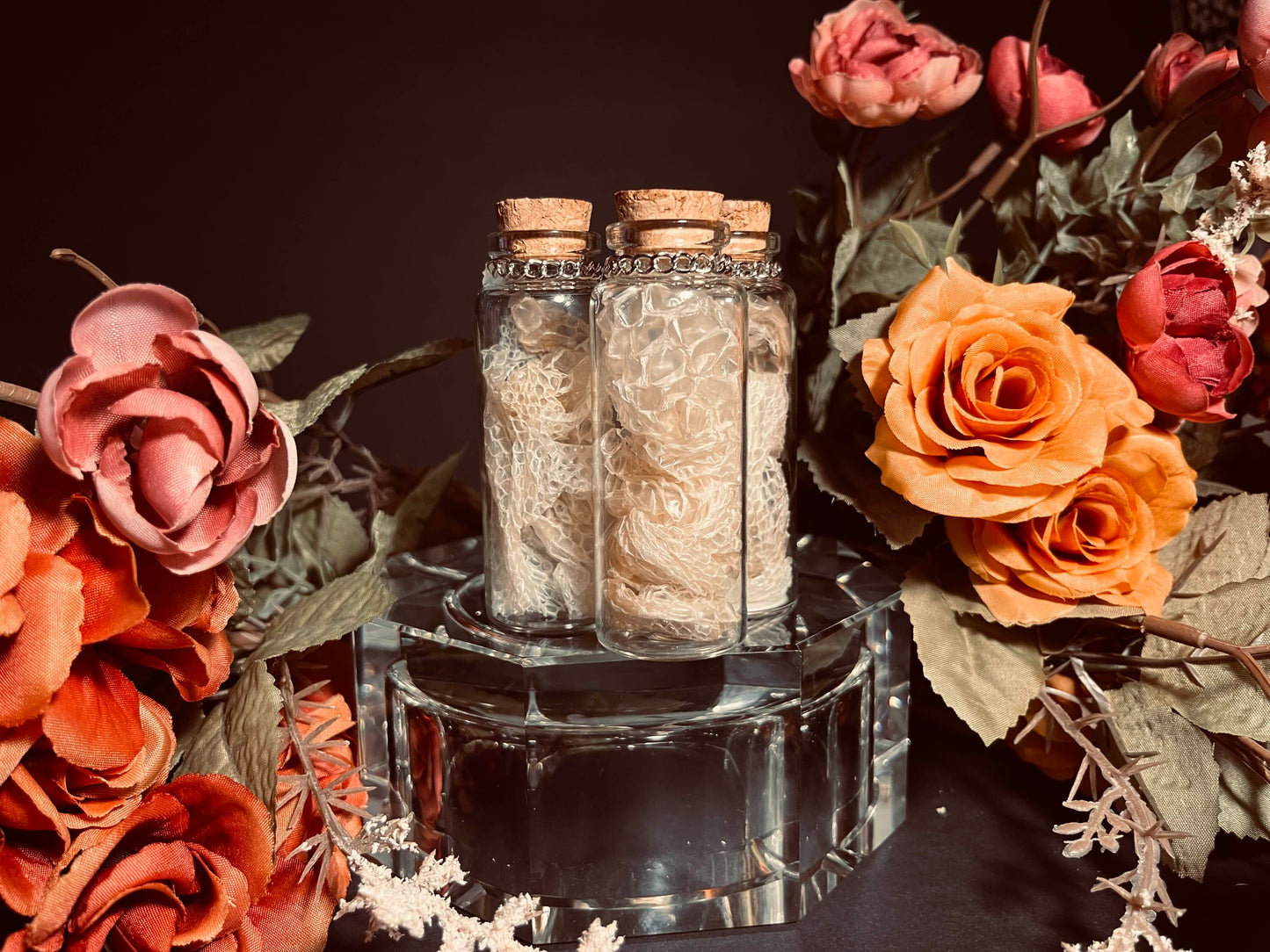 Snake Skin Vial -  Curio, Witchcraft, Spells