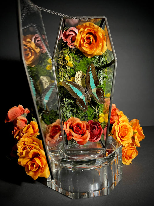 Blue Triangle- Butterfly Coffin Terrarium