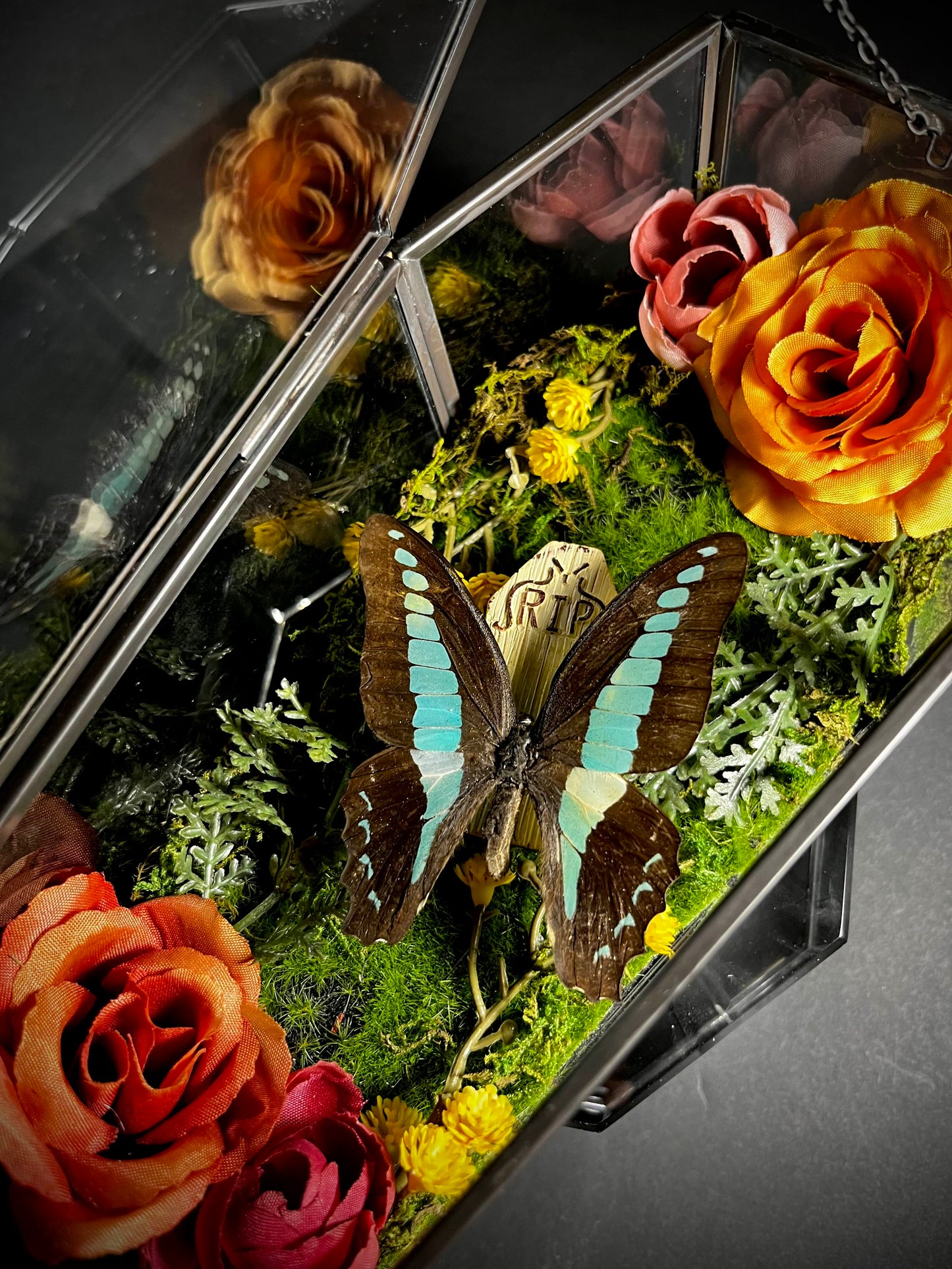 Blue Triangle- Butterfly Coffin Terrarium