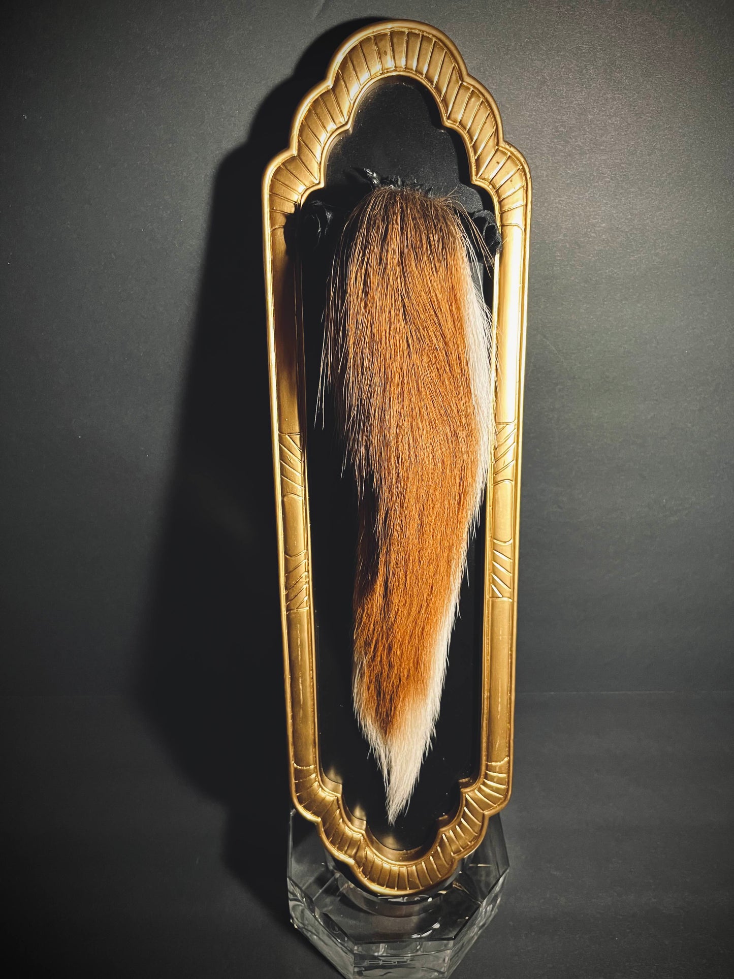 Framed Deer Tail