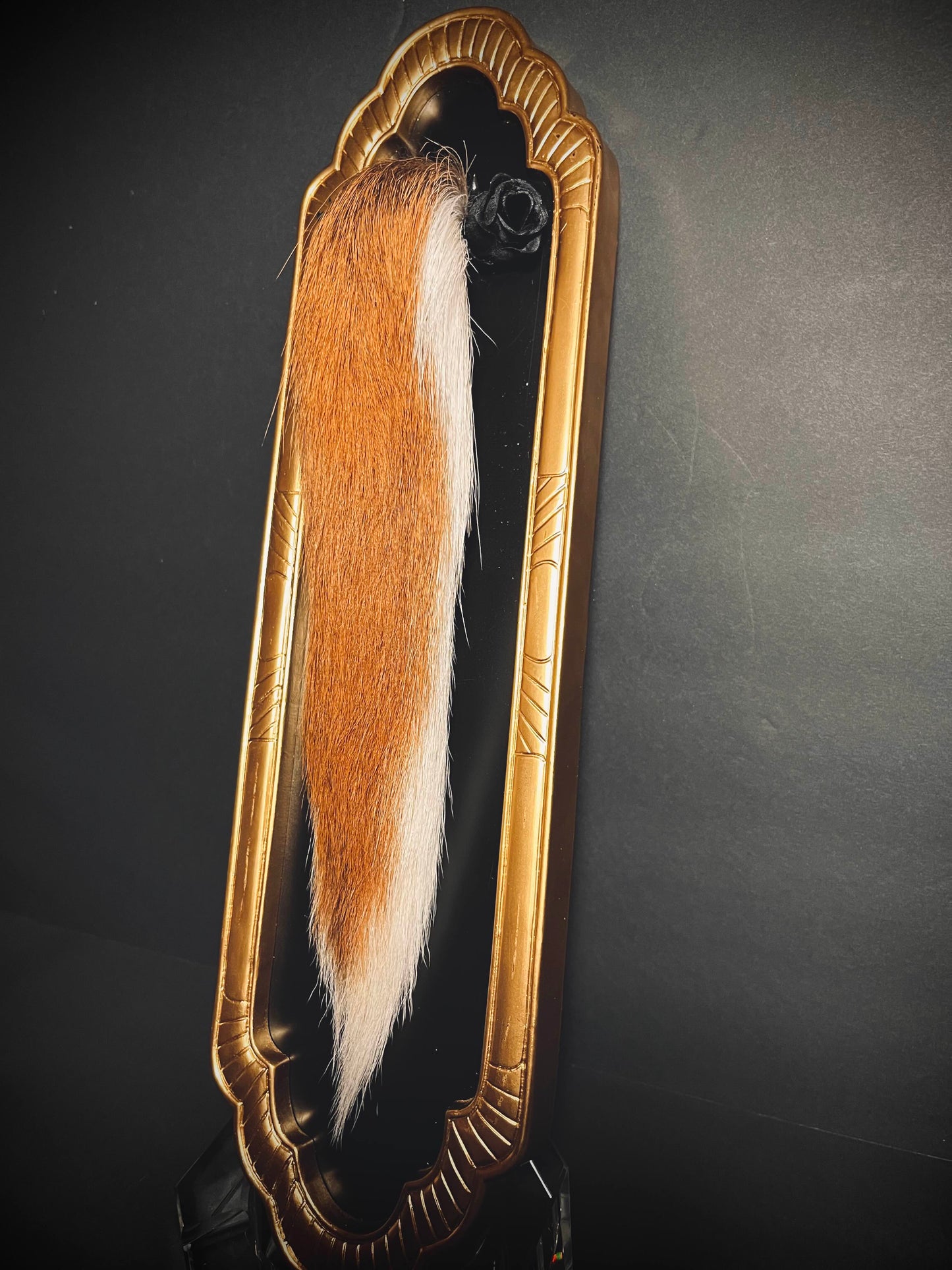 Framed Deer Tail