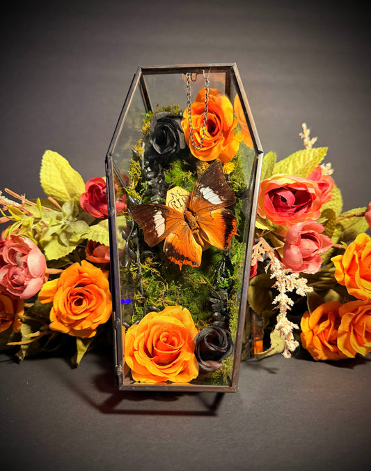 Rustic Moon - Butterfly Coffin Box